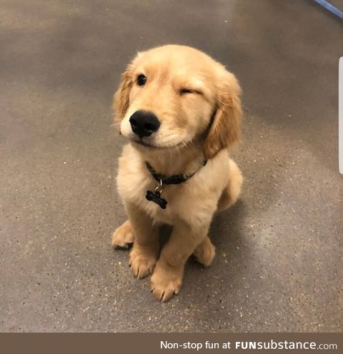 ;) .. (awww)
