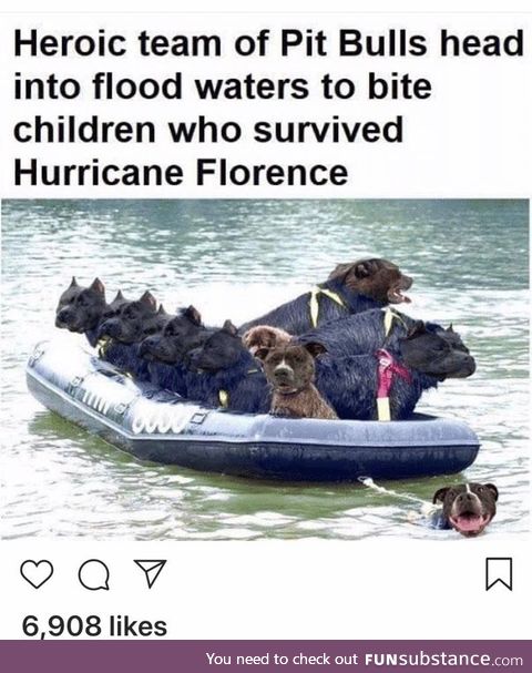 Hide yo kids