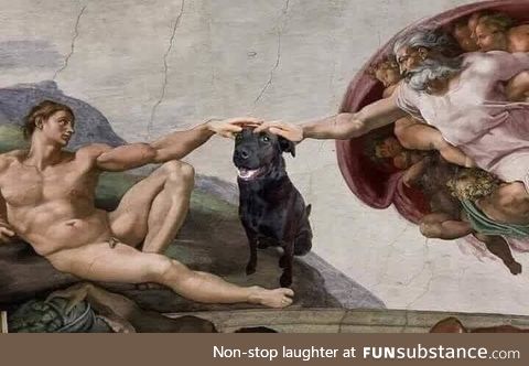 And God said onto Man: Pet the Darn Dog