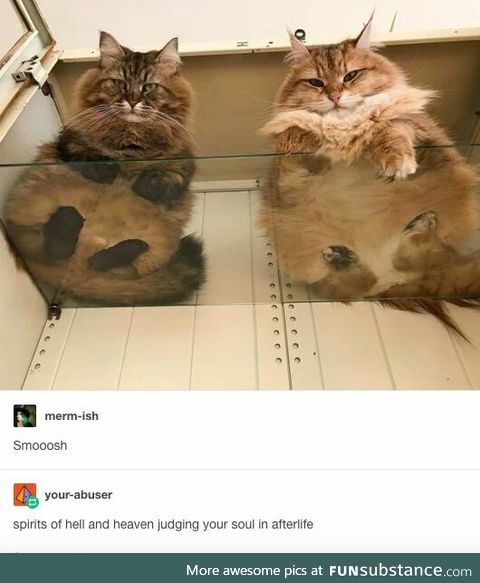 Such floof