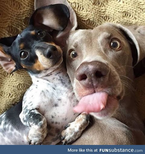 "BLEEP!"