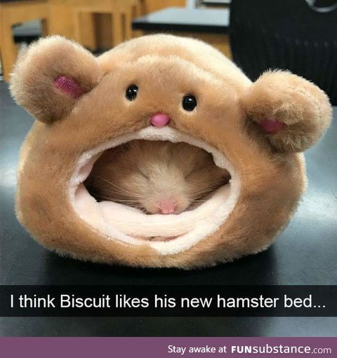 Sleep well