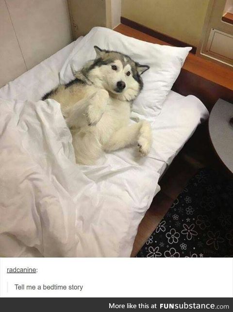 Anything for such a cutie