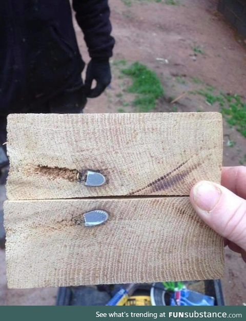 a bullet from one of the world war lodged in a french oak