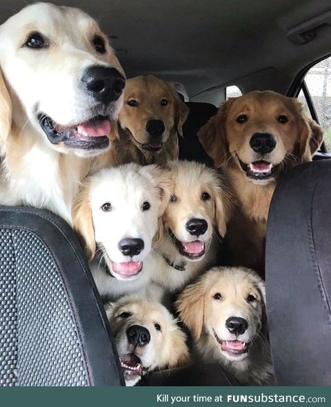 "are we there yet hooman :)?"