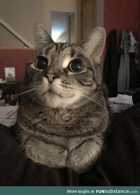 "one second.. i make more place for you.. *tuck in feets*"