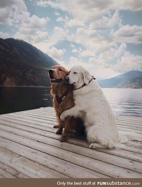 "bro? i love you *cuddle*"