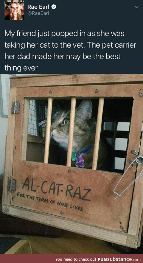 It's purrfect