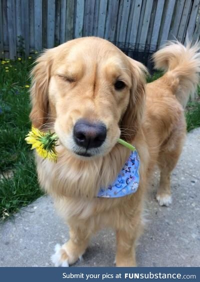 "i bring you a flower.. ;)"