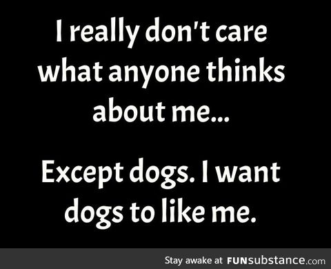 I want dogs to like me