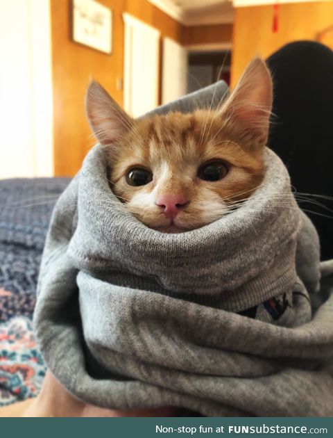 The Winter is coming!