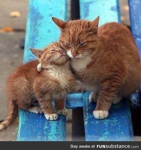 "you can stay with me buddy, i protect you!"