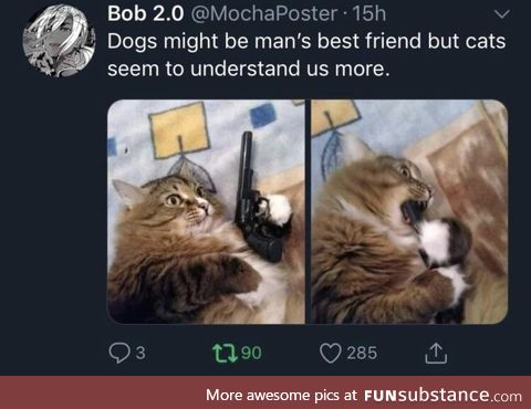Cats are more like human