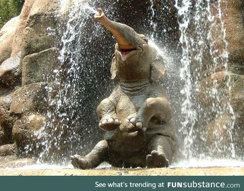 Happy Elephant :3..
