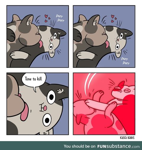 Kitties