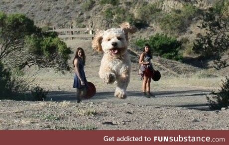 Well timed photo