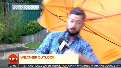 Weatherman almost blown away by wind on live TV, co-hosts can't contain their laughter