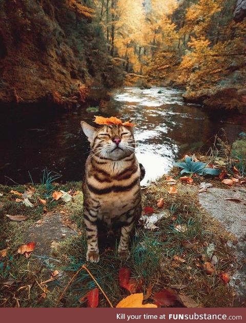 "just relax... breath in.. and out.."