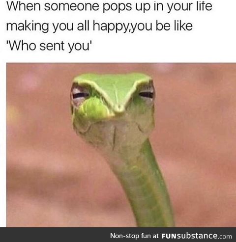 I love the face