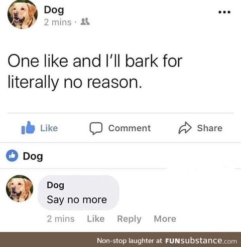 Dog bark