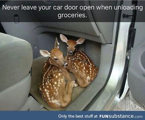 Oh deer