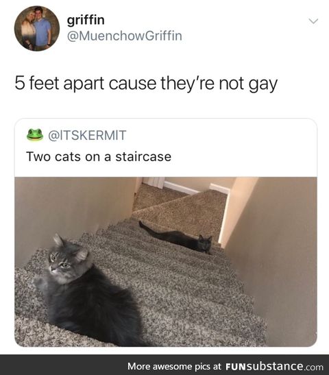 Not gay