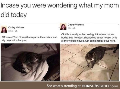 I wonder if the cat was really dead