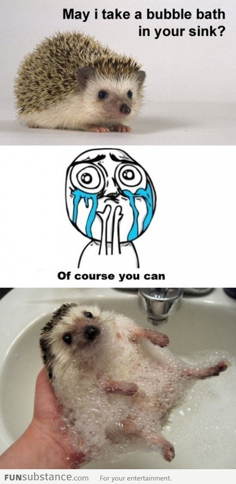 Hedgehog Bubble Bath