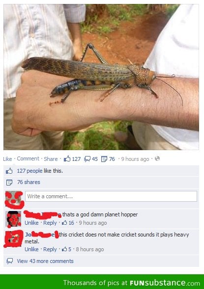 Heavy metal insect