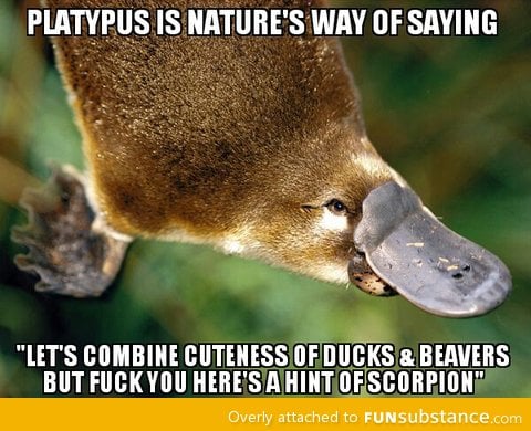 Platypus is nature's way of saying...