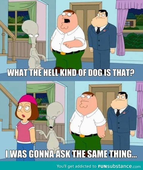 One of my favorite scenes from family guy