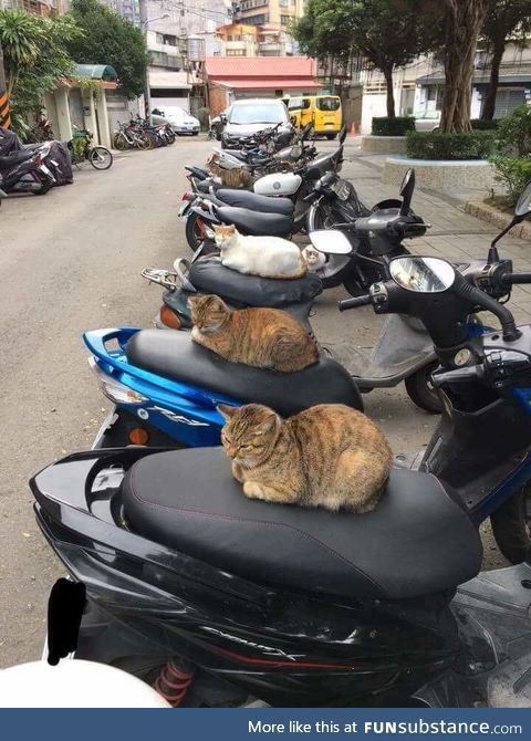 Motorbike security guards