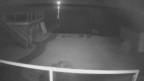 Meteor caught on the security cam at a cottage