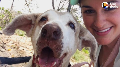Good Things Come to Pirate, who lived 7 years in a Shelter (FeelGoodSubstance)