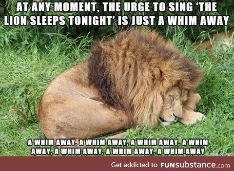 The Lion sleeps tonight
