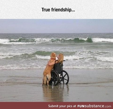 Dogs will love you no matter what