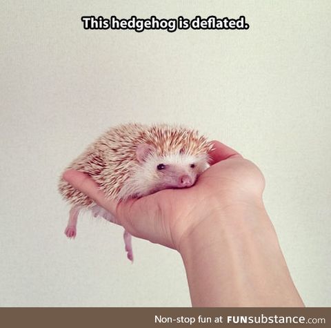 Deflated little guy