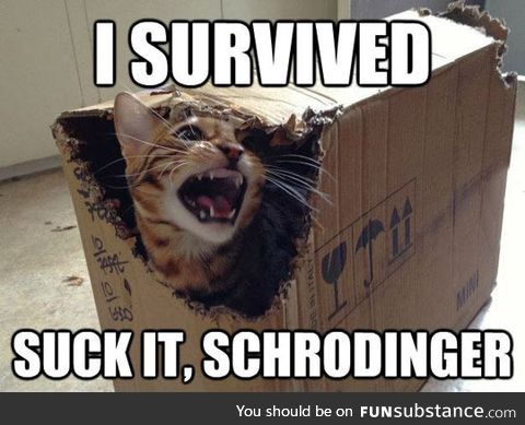 Schrodinger's Cat Final Results