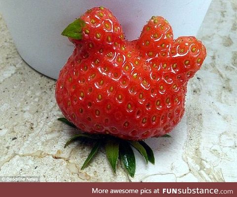 Chicken-shaped Strawberry