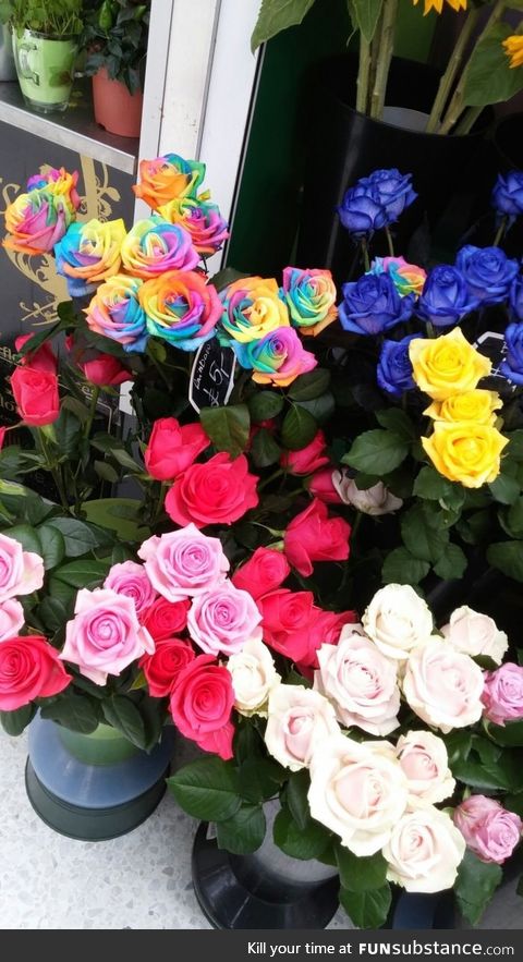 Rainbow-roses spotted in London