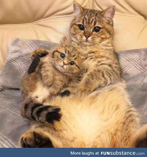 Mother & Little Baby, waiting for a picture from their owner