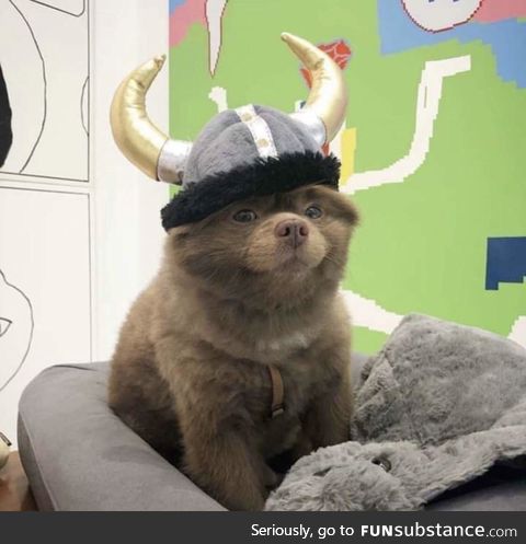 Börk the crusader