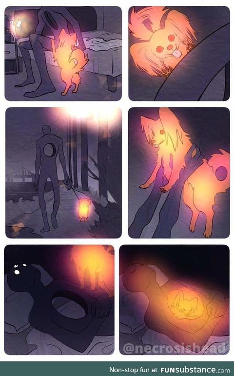 Pets