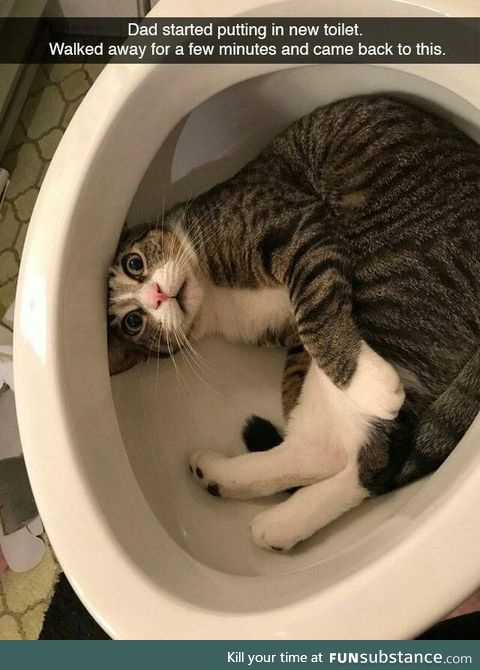 He's helping