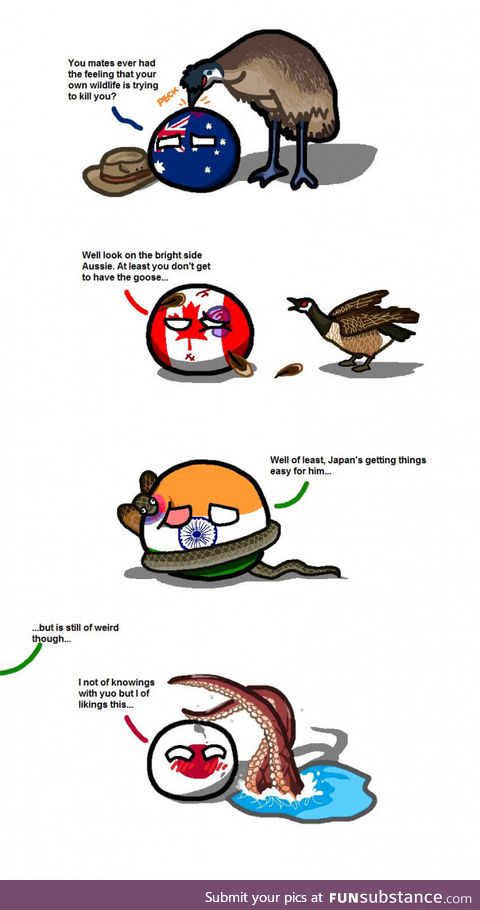 Aggressive wildlife