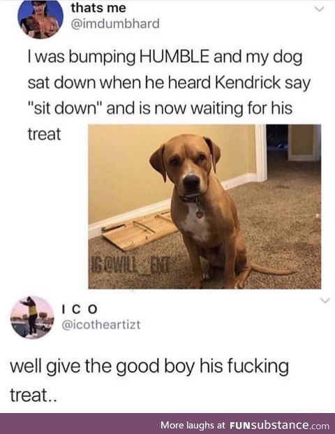 Good boi