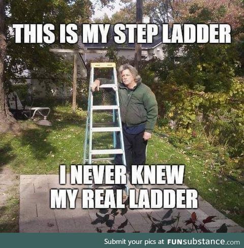 You're not my real ladder!