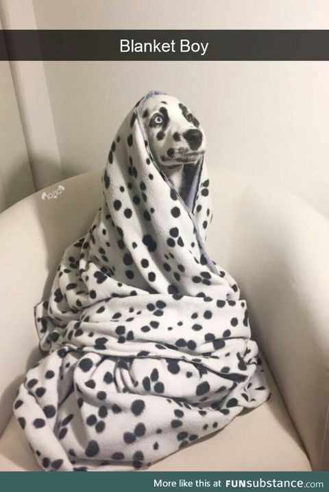 Camouflage