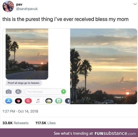 Thought it was Godzilla