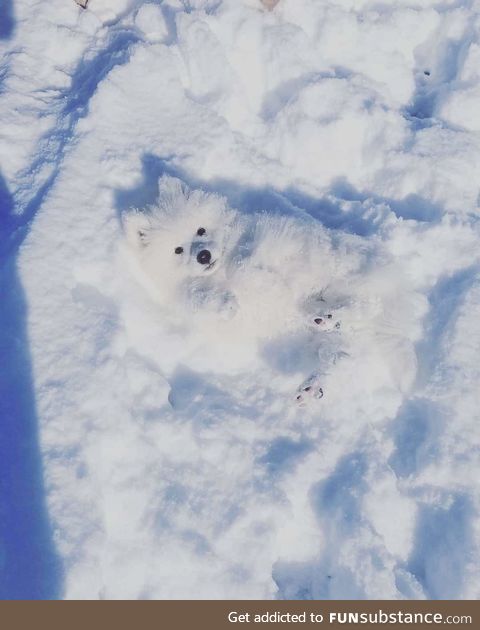 One with the snow